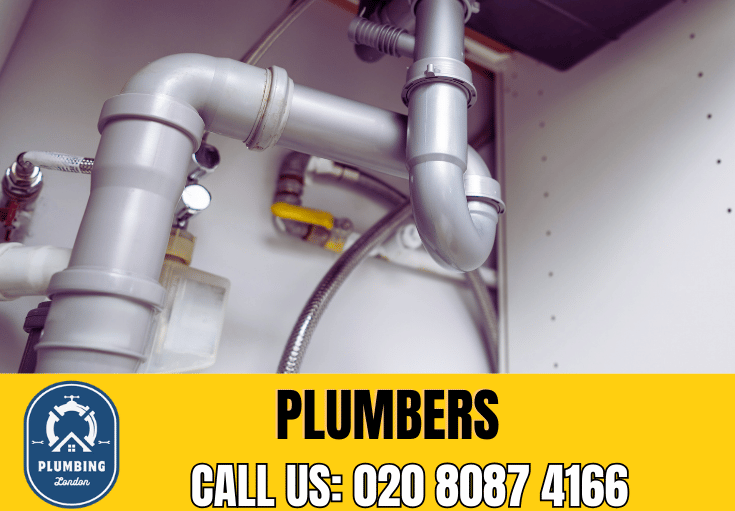  plumber Lea Bridge