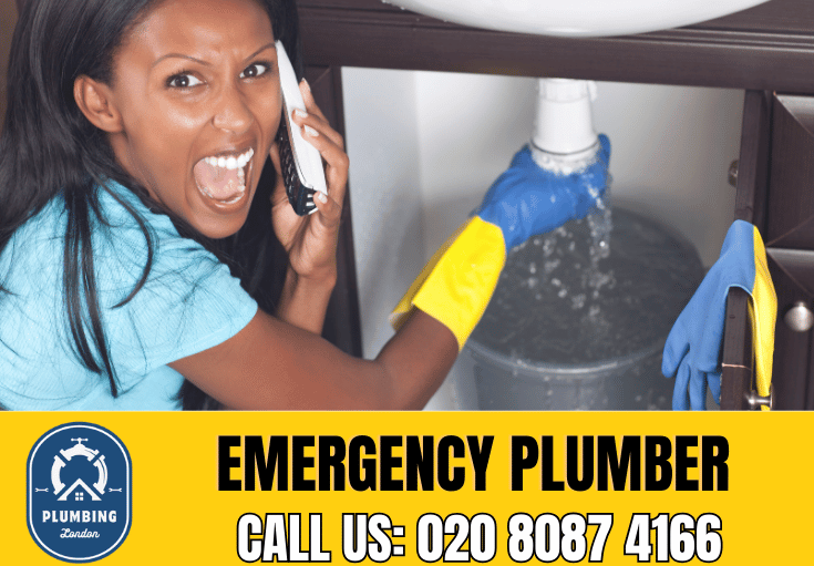 emergency plumber Walthamstow