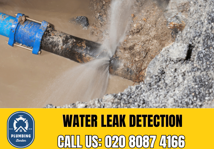 leak detection Walthamstow