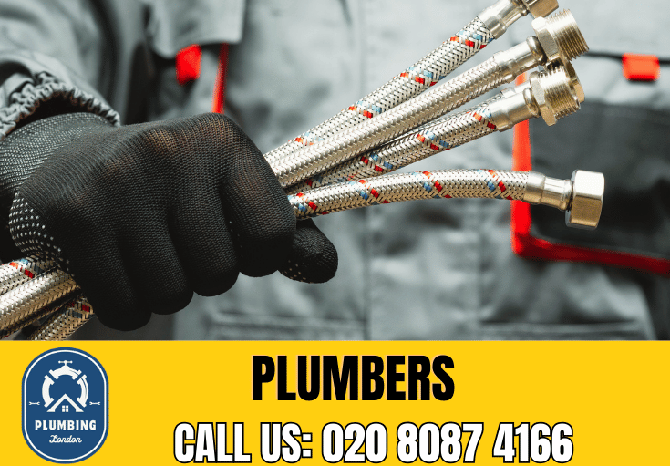  plumber Highams Park